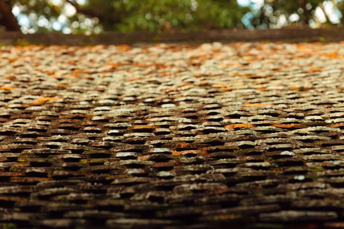 Roof Leak Repair & Penetration Work in Flagstaff, AZ